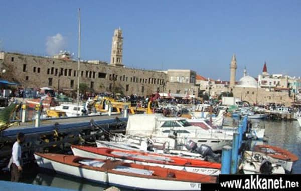 1630777471 P8p3pv33v8