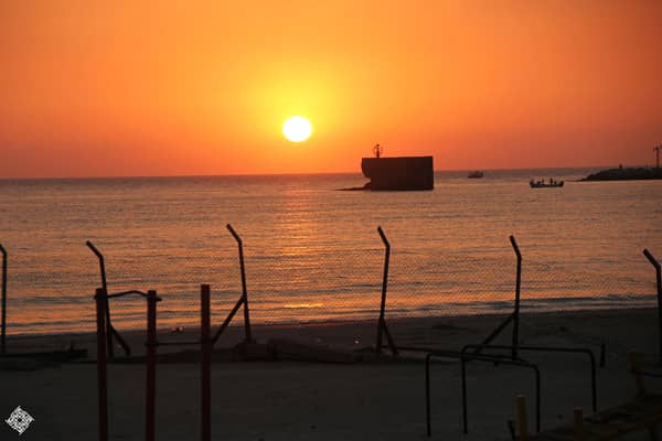 1630779068 C3orxtcbhm