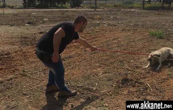 1630779098 9tapmsdvjr