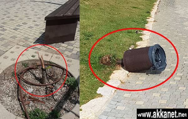 1630779149 1f2i8koxse