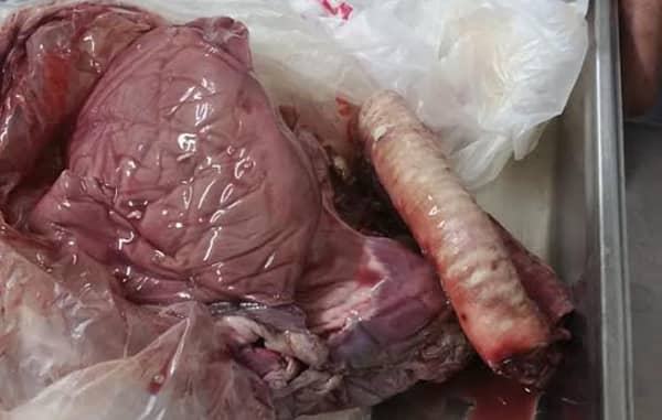 1630779362 Gphcrava1o