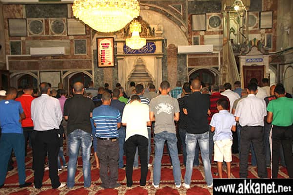 1630779479 Tkgokv75fp