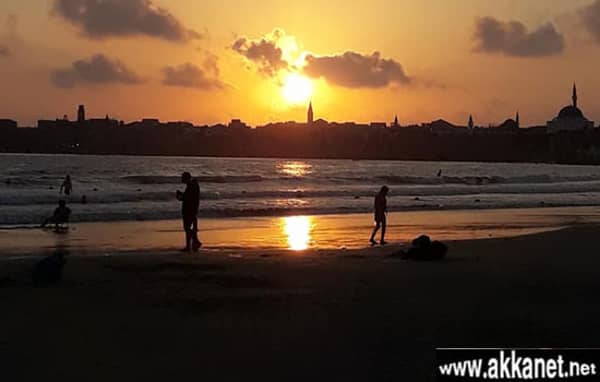 1630779792 Fkxiijy4zf