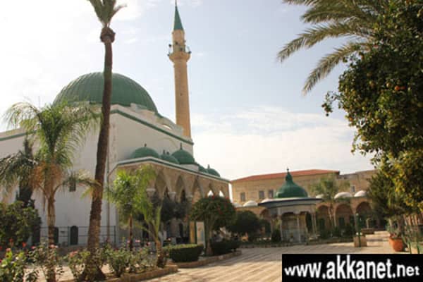 1630779849 Yfthswrk0p