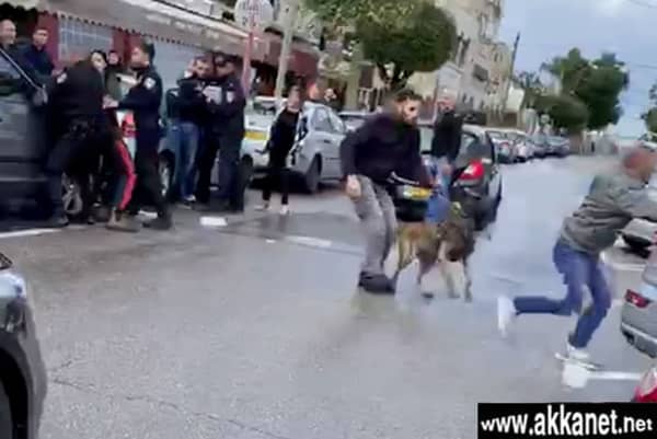 1630780709 Dwbokca1in