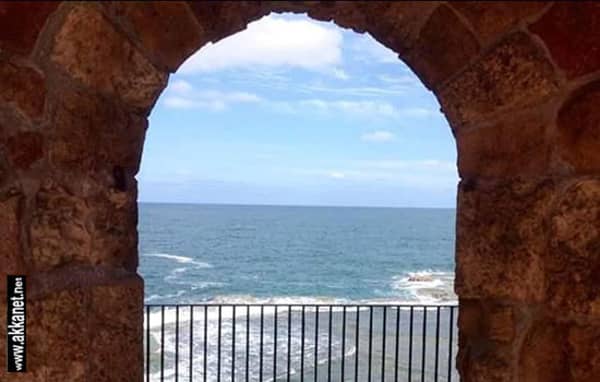 1630781865 Hwf9kxrdva