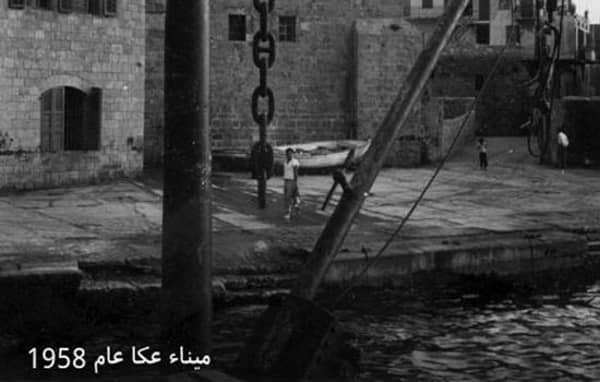 1630782302 Ty7jvlfat5