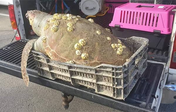 1630783345 Xdvpfsi5vf