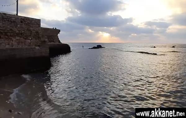 1630783796 8o3tkw8eqy