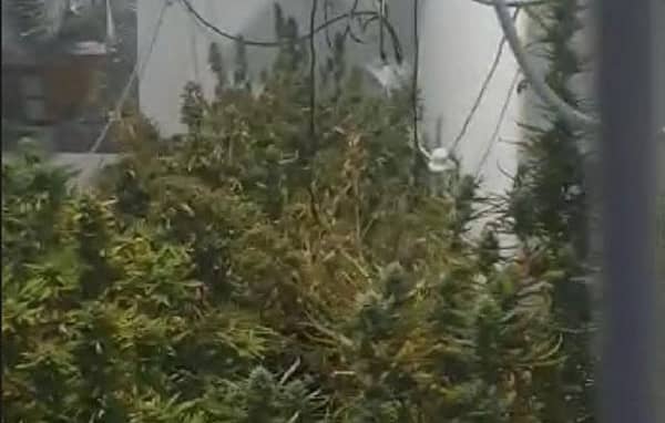 1630784183 3kbr19egpu