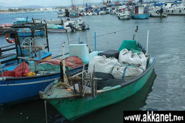 1630784419 Qmqkoyzmpg