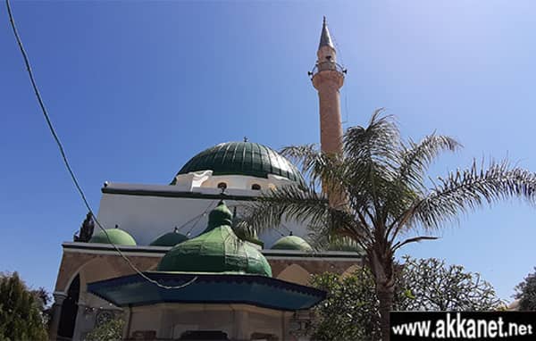 1630784501 Nuvfv89ouw