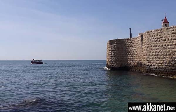 1630784503 S8zvof947n