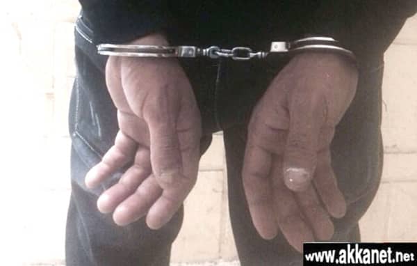 1630784523 Ctjlti5goe