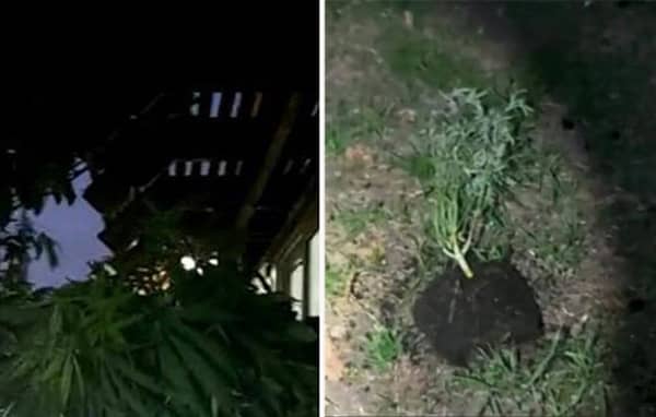 1630784599 Cse8mn2crp