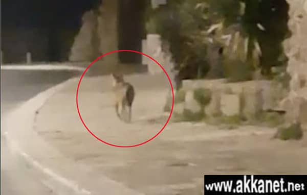 1630784646 Obgg1z2h5r