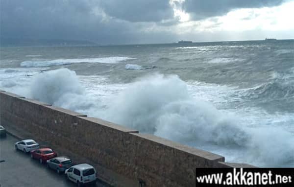 1630784658 Dn8dhy0zkk