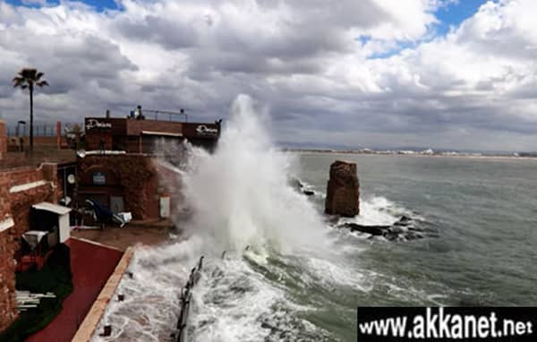 1630784679 Z09eyhc8p1