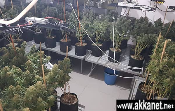 1630784706 Inqxa4vx4y