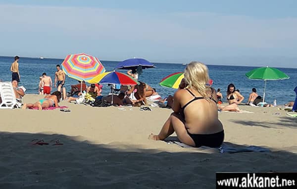 1630784810 Pwg2dndha6