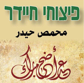 1637447928 3yhgggg9jo