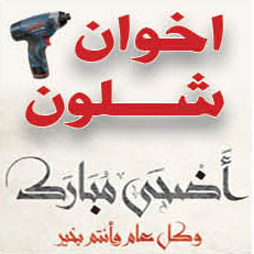 1637447946 Wpvydqmm4y