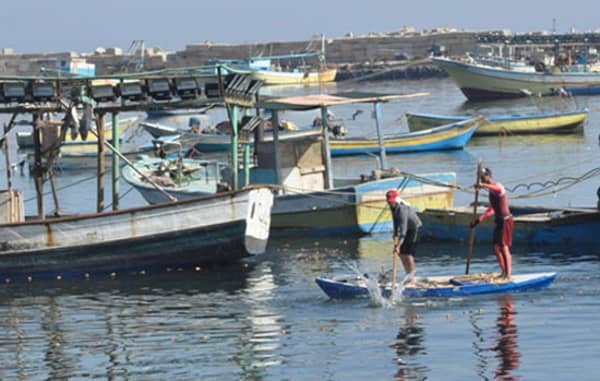 1637448062 Klmmdatw4s