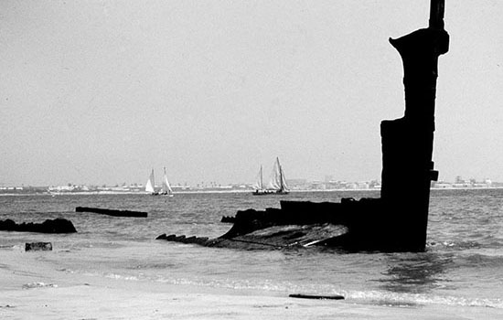 79420277 2548674695364543 2056904501419311104 O 2 2