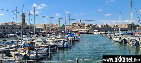 292896747 5316730935087941 9017757597978605973 N