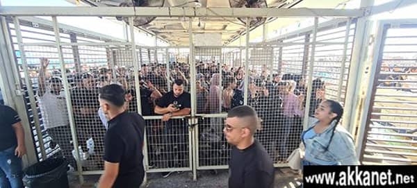 292938658 5316734161754285 6220726129492227580 N