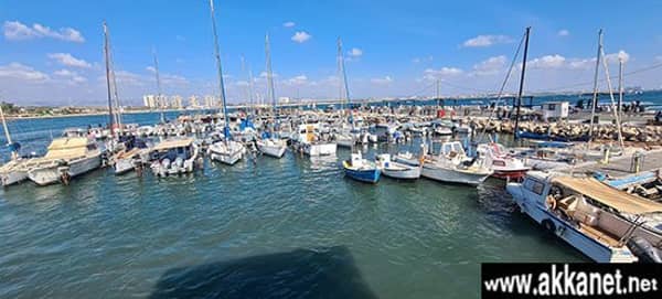 293158191 5316729728421395 5787368227272567397 N