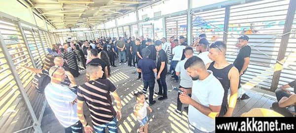 293219685 5316734398420928 5508521780193984905 N