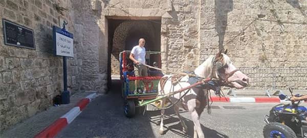 75f76e6e D3d5 40cc 9af7 2c4435dc5c82