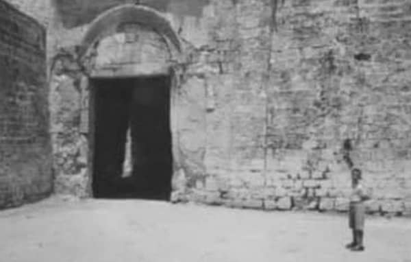 86800271 2616942538537758 4419669871848062976 N 2 2