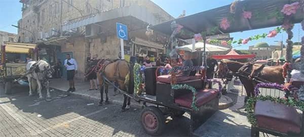 Beaa6f74 Efba 4722 9015 Dc186edab5e0