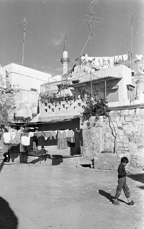 118521627 2773746616190682 1374601947371505110 O 2