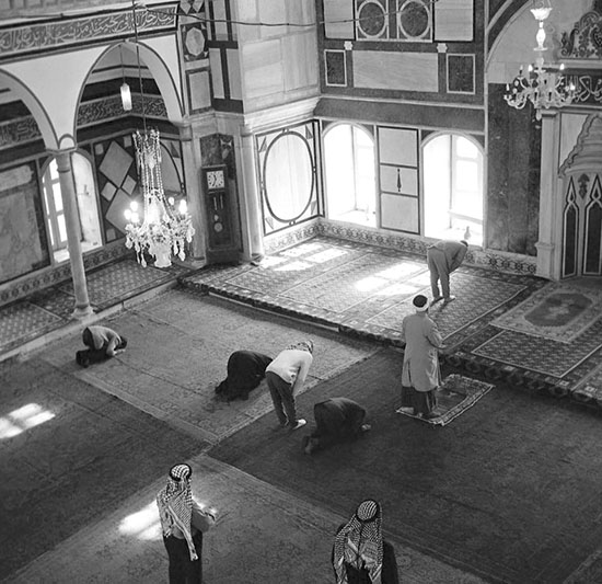 12802803 1756219137943440 8484877478703551674 N 2