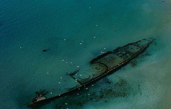 286559813 1360604954449054 5909633048039329468 N