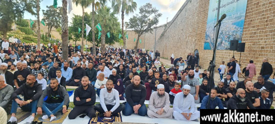 3f89f5cb B806 4e7b 9833 431842c81665