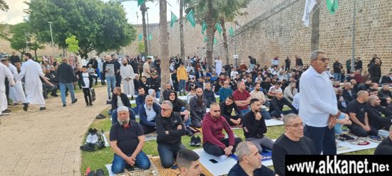 F26f8033 Ff3d 4ece 98d8 8c74607223ab