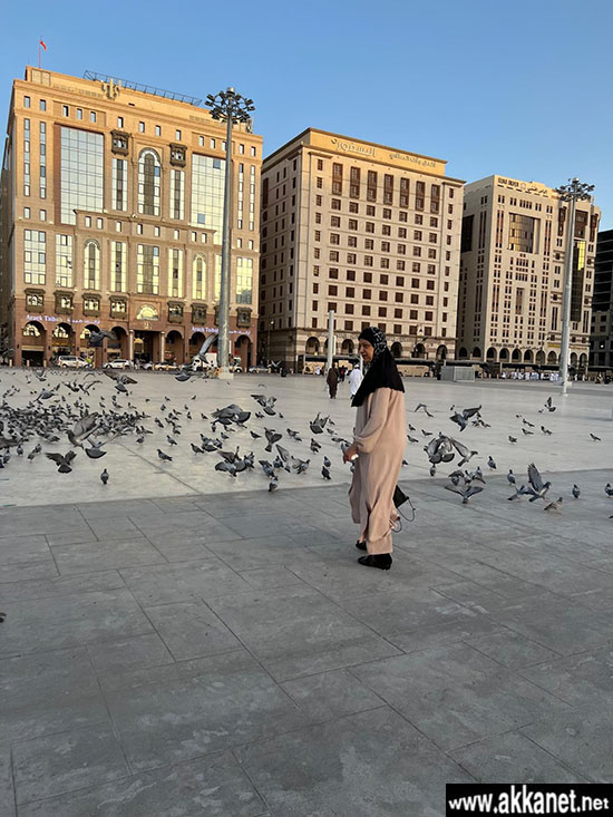 26a2335a Fe7d 4258 85a8 5d0fb47b0042