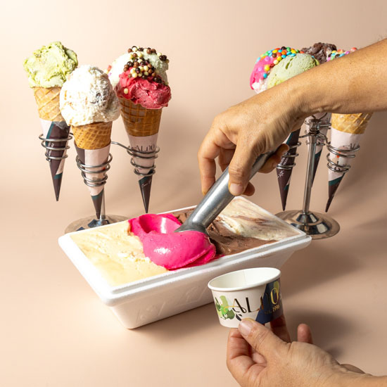 350538782 790464469339455 667475570294756198 N