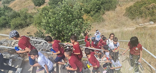 353431365 735083718417101 2845484544844748309 N