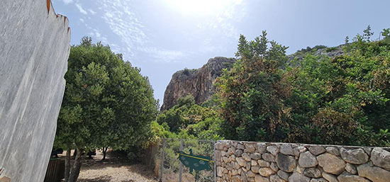 353443264 735084378417035 1921819055119774307 N