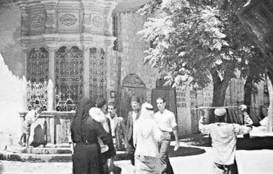 73458649 2521267274771952 2866232414802280448 N 2 2