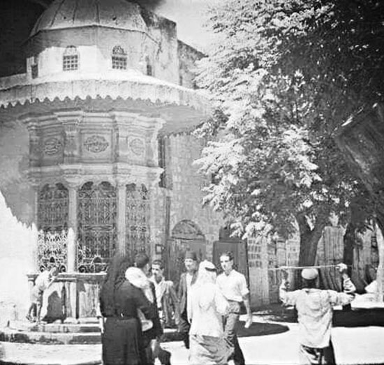 73458649 2521267274771952 2866232414802280448 N 2