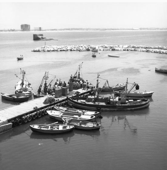 ١٩٧٣ تصوير أميت يتسحاق 2 2