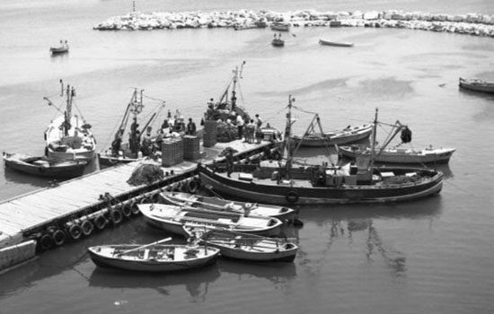 ١٩٧٣ تصوير أميت يتسحاق 2