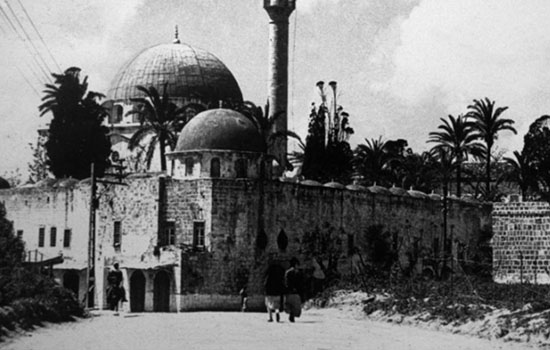 2f3bfe8c 0269 46a8 9d0c 0b4d8237891b 2