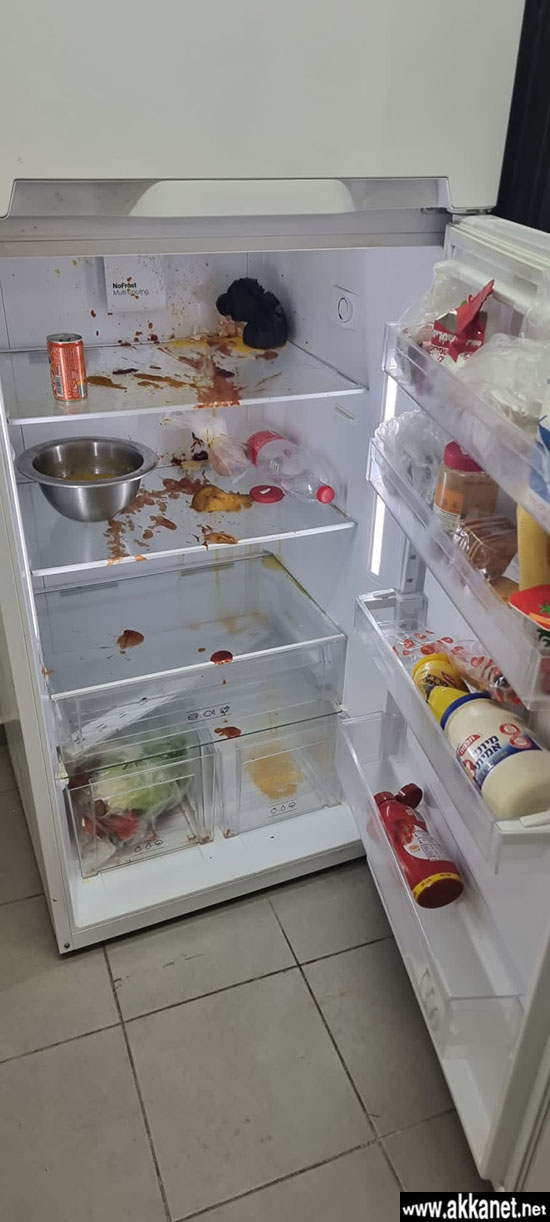 D539d913 32bf 4291 A450 2c23dab44e16